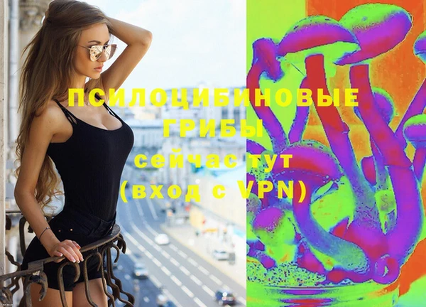 спайс Коряжма