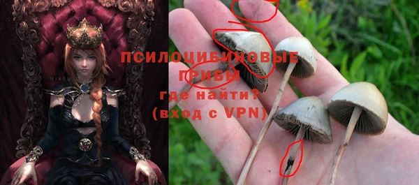 mdpv Корсаков